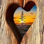 lover shayari