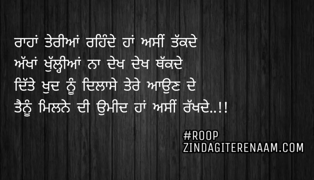 Love shayari || Raahan teriyan rehnde haan asi takkde
Akhan khulliyan na dekh dekh thakkde
Dite khud nu dilase tere aun de
Tenu milne di umeed haan asi rakhde..!!