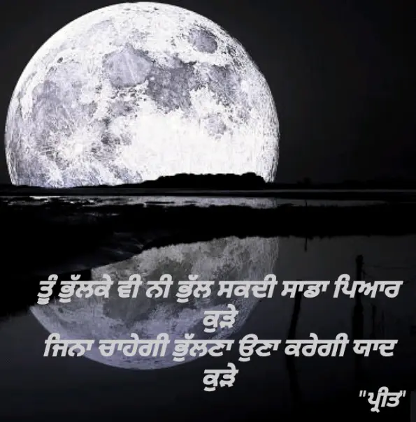 BHUL NI SAKDI || 2 LINE PUNJABI SHAYARI