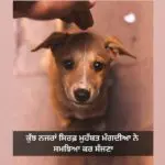 Kush nazraa || punjabi 2 lines love shayari