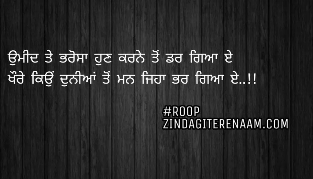 Sad two line shayari || Umeed te bharosa hun karne ton dar geya e
Khaure kyu duniya to man jeha bhar geya e..!!