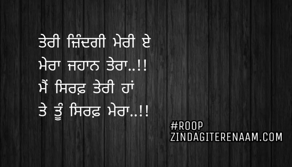 Love punjabi shayari || Teri zindagi meri e
Mera jahan tera..!!
Mein sirf teri haan
Te tu sirf mera..!!