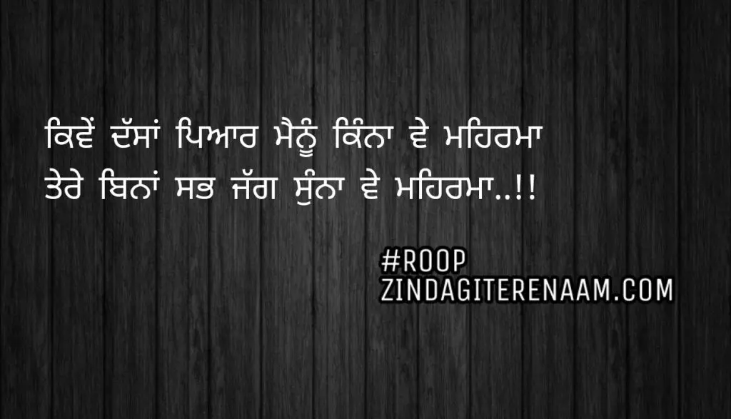 Two line shayari / Kive dssa pyar menu kinna ve meharma😘
Tere bina sab jag Sunna ve meharma❤..!!