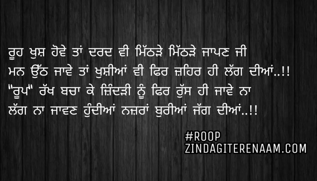 Sad but true lines about life || Rooh khush Howe taan dard vi mithde mithde jaapn ji
Man uth jawe taa khushiya vi fer zehar hi lag diyan..!!
"Roop" rakh bacha ke zindarhi nu fir Russ hi jawe na
Lag na jawan hundiya nazra buriya jagg diyan..!!