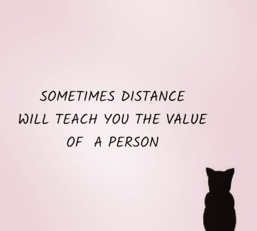 Sad english quotes || Sometimes distance teaches you the value of a person