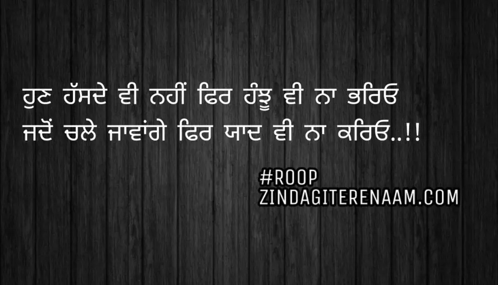 Two line Punjabi shayari ||Hun hassde vi nahi fer hanjhu vi na bhareyo
Jado chale jawange fer yaad vi na kareyo