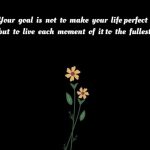 Goal of life || english quotes