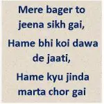 Hame kyu jinda marta chor gai