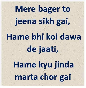 Mere bager to jeena sikh gai
Hame bhi koi dawa de jaati
Hame kyu jinda
marta chorr gai || hindi shayari