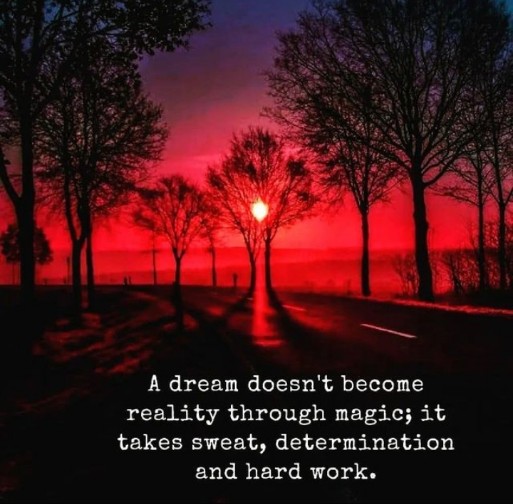 English quotes || A dream doesn't become reality through magic, it takes sweat, determination and hard work..🤞