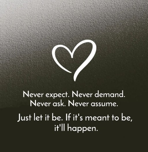 English quotes || never expect never demand never ask Never assume....Just let it be. If it's meant to be....It will happen
