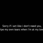 Sorry if i act || english sorry quote