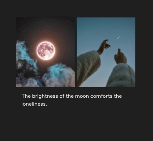 Loneliness quotes || The brightness of the moon comforts the loneliness 