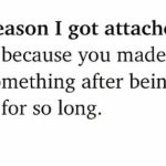 The reason i got attached || English quotes