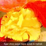 Gulab🥀🧿 || love Hindi shayari || pyar izhaar shayari