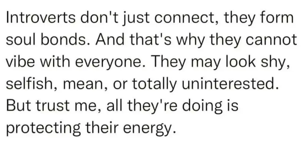 Introverts || english quotes