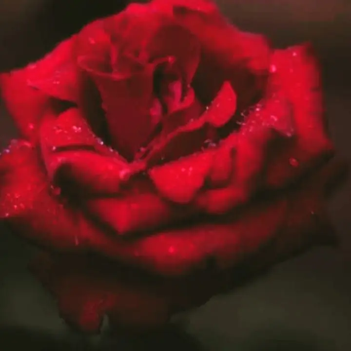 Zindagi Se badi Koi saza hi nahi .... || dard bhari shayari