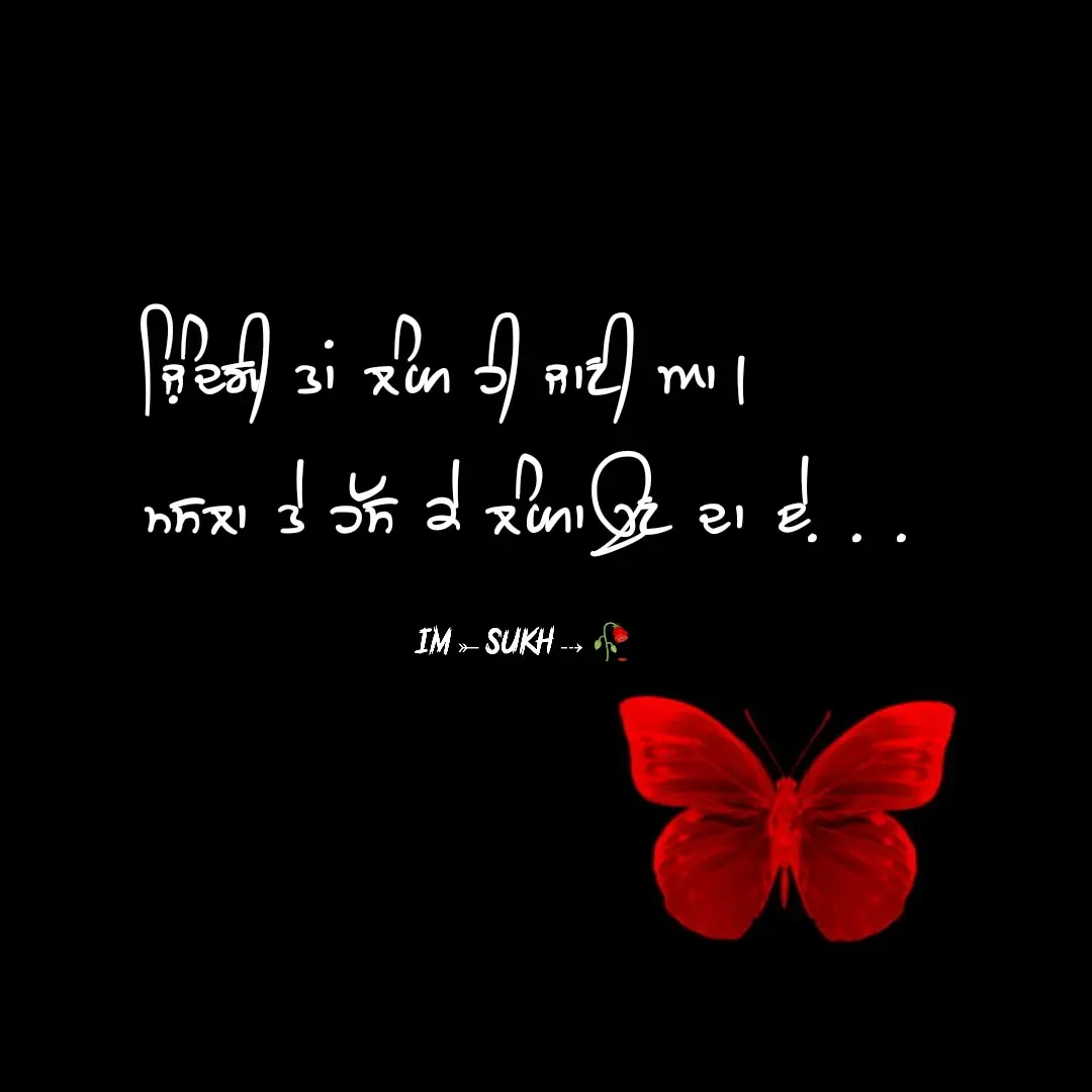 Zindagi taan langh hi jaani aa || 2 lines status punjabi