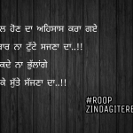dil tod ke sutte sajjan || sad punjabi shayari || sad but true || heart broken