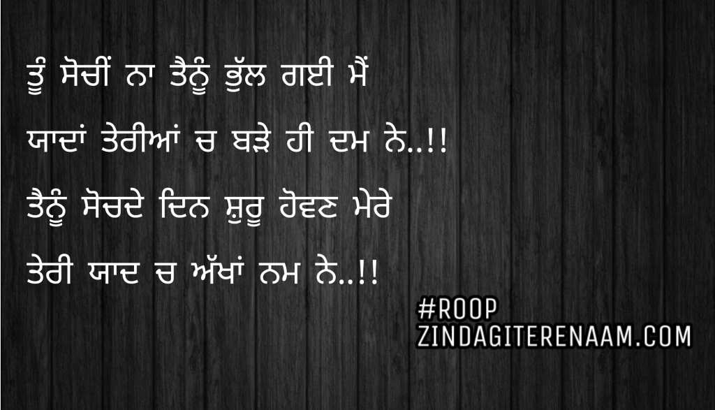 Love punjabi status || ❤️Tu sochi na tenu bhull gyi mein ❤️
❤️yaadan teriyan ch bde hi dam ne❤️
❤️Tenu sochde din shuru howan mere❤️
❤️Teri yaad ch akhan Nam ne❤️
