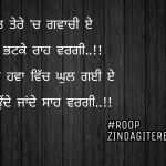 Teri yaad|| love Punjabi shayari || sacha pyar shayari
