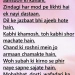 MANMEET SHAYRI 4